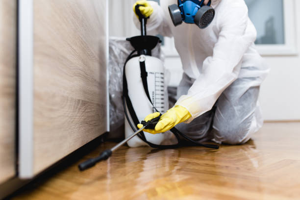 Best Mosquito Control Services  in Glenside, PA