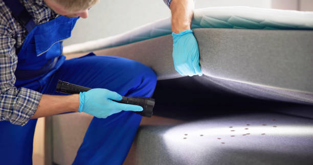 Best Wasp Removal Services  in Glenside, PA