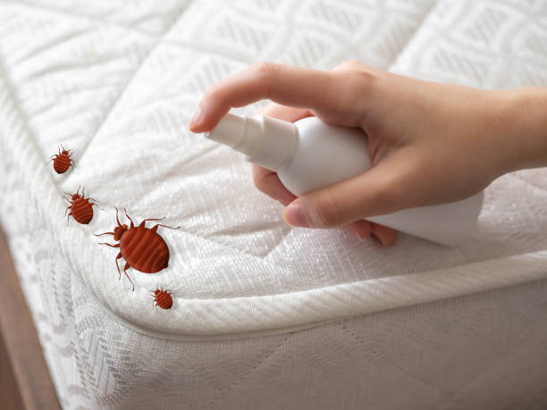 Pest Control for Restaurants in Glenside, PA